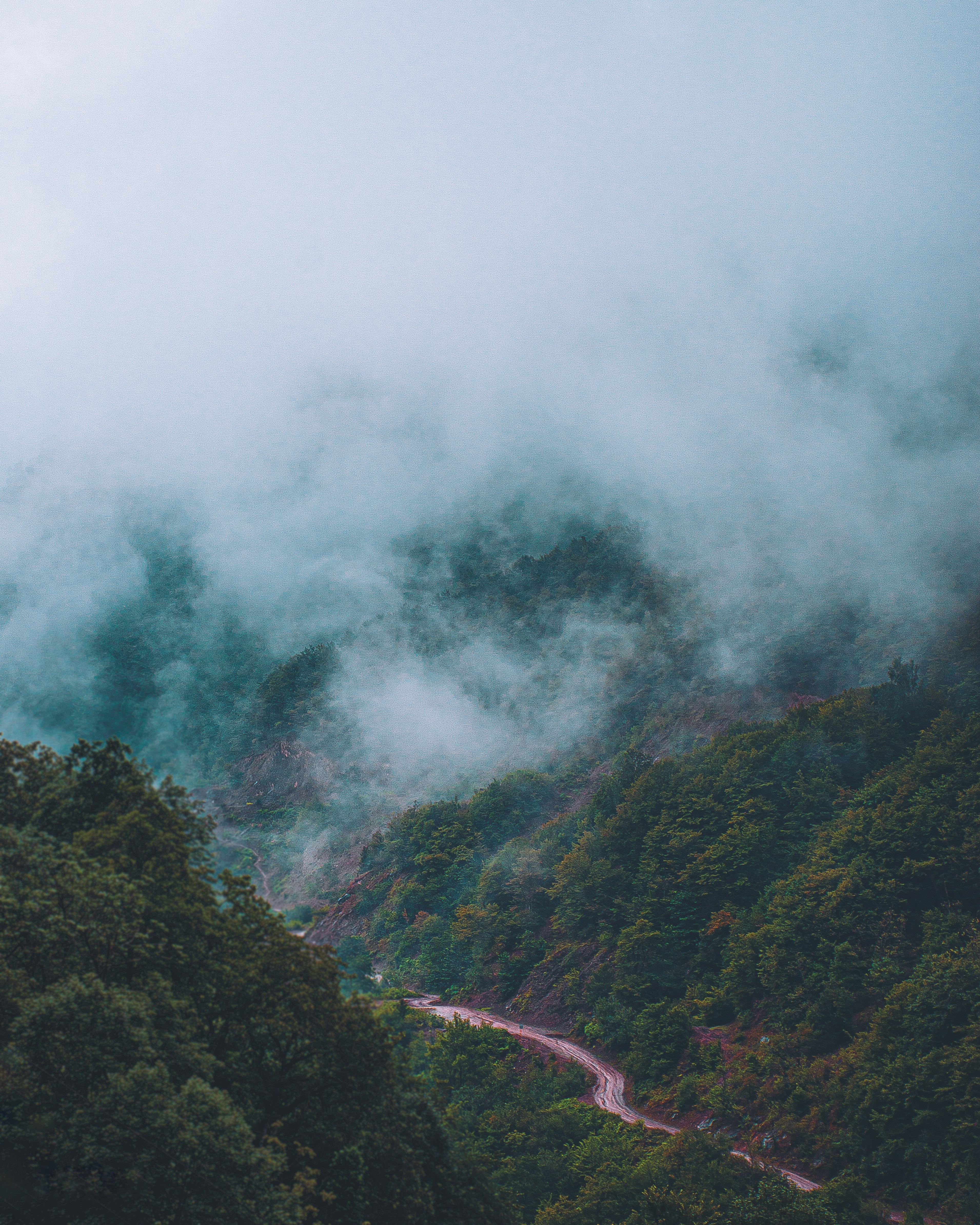 green trees on mountain during daytime